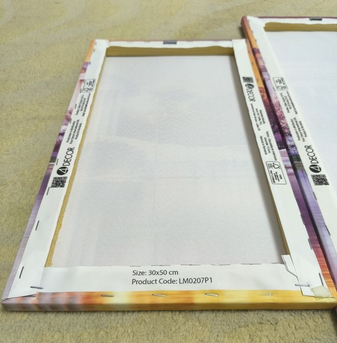 Tablouri canvas - set