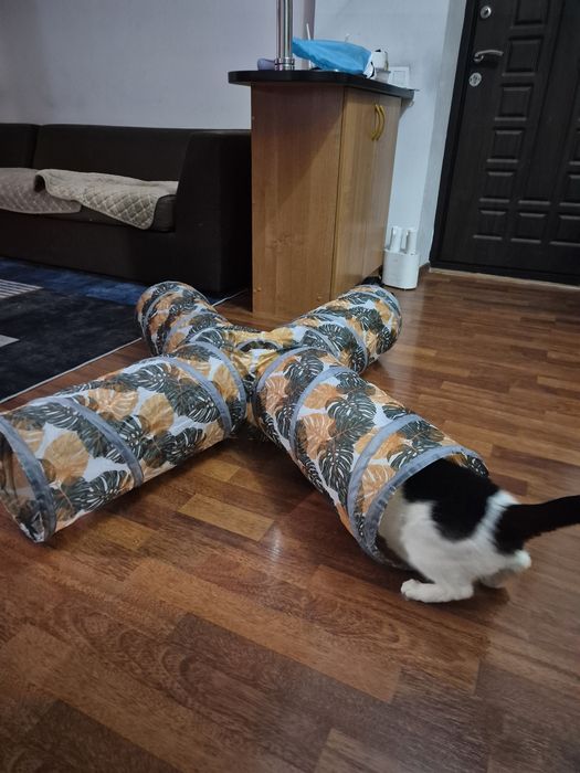 Тоннель для кошек, маленьких собак