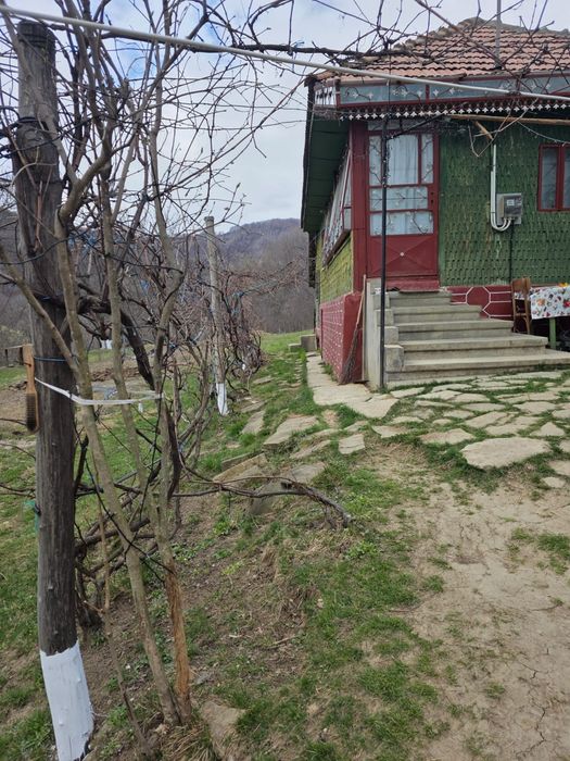 Case plus teren 3750m2