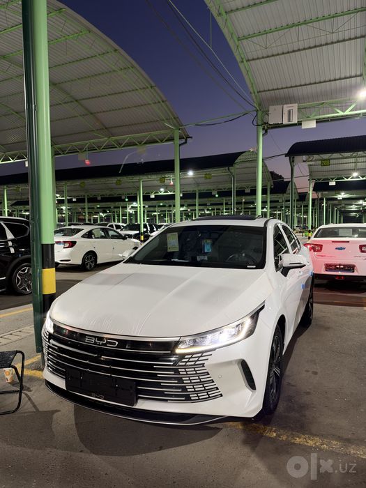 Byd chazor 120 km lik