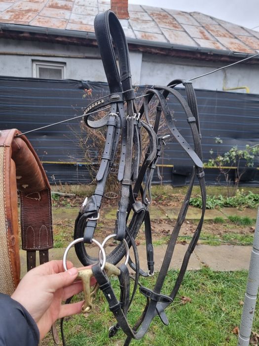 Sa calarie western Continental Saddlery clasic ider Al USA