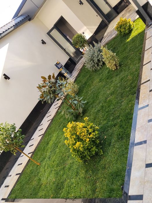 Tayor rulon gazon yotqizish