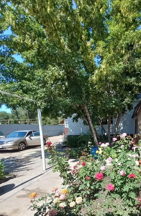 Продается дом  с.Сарыозек.