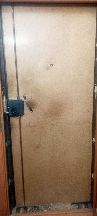 Входные двери 2 шт.