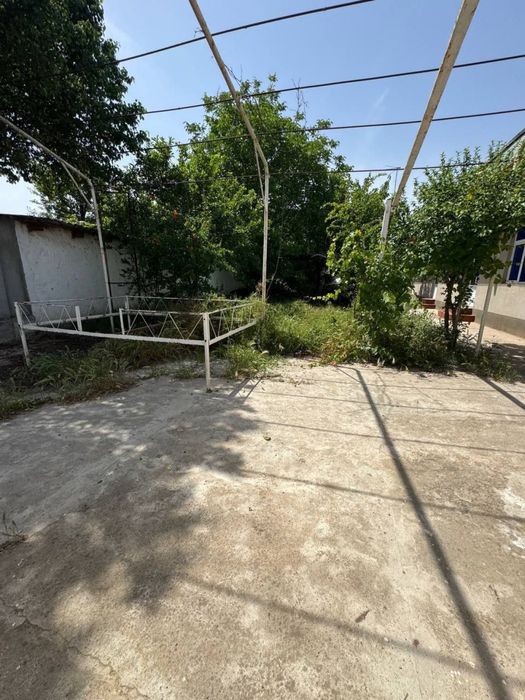 Uchastka 6sotix 7 honali  1 sotixdan oshiq zelyoniy zona bor kochada
