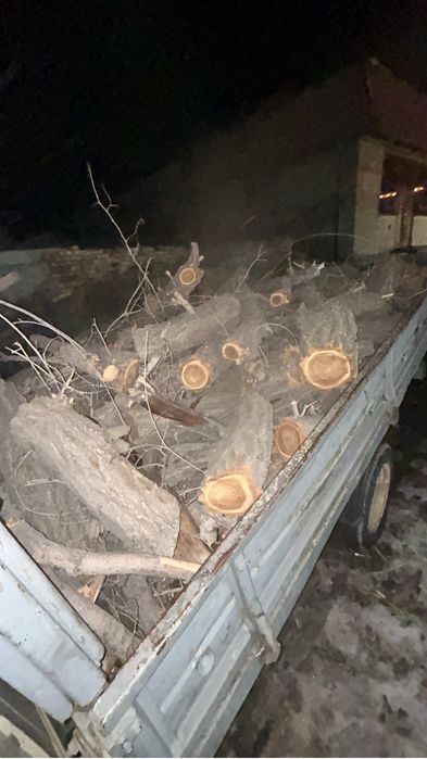 Продаю дрова карагач