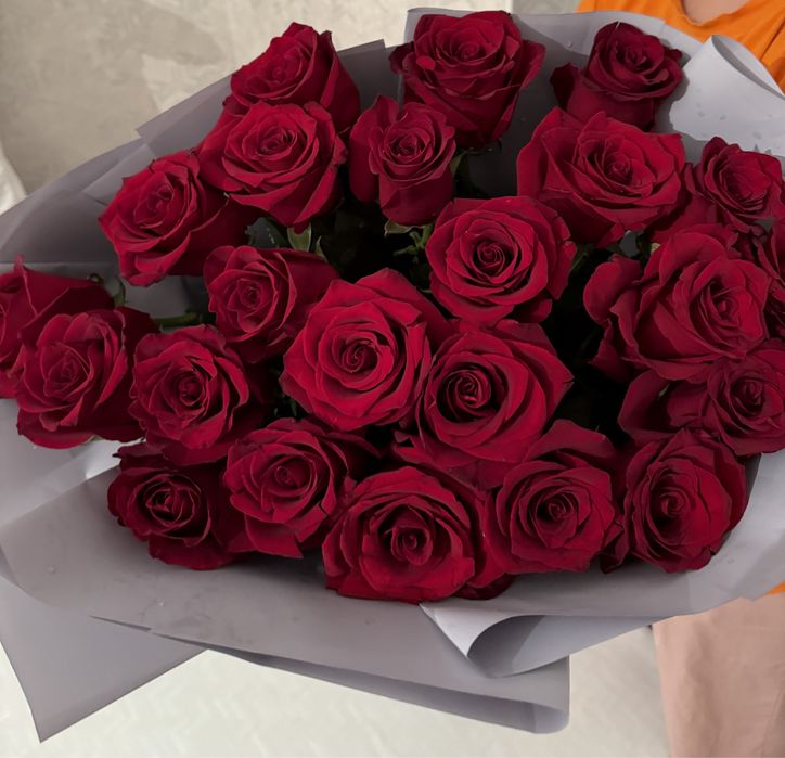 Цветы  роза голландскии 2500