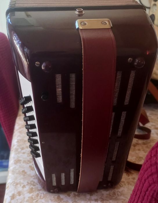 Hohner junior 40