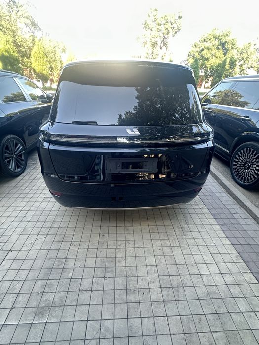 Lixang Li9.