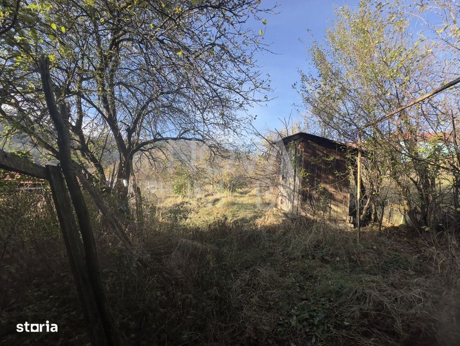 Casa individuala - Sat Vale, Saliste