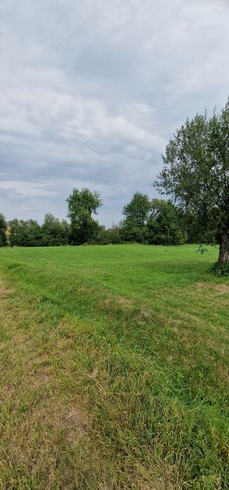 Terenuri intravilane alăturate 30 ari si 26 ari ideal casă sau arabil