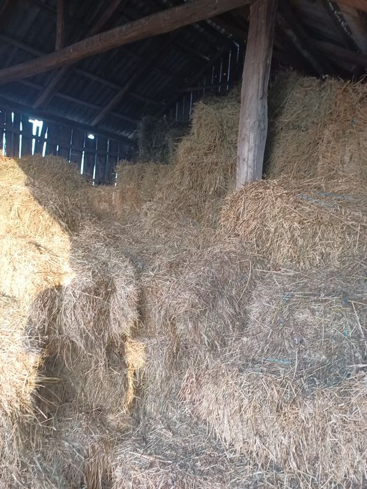 Vand baloti vara 2025