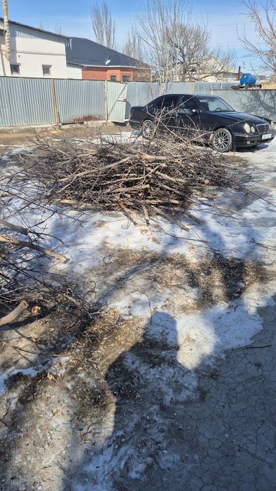 Тал ағаш отын бревно дрова тегін. Бесплатно