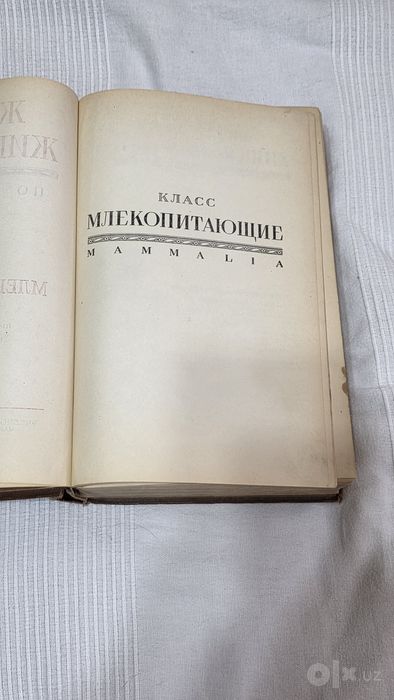 Книга Энциклопедия
