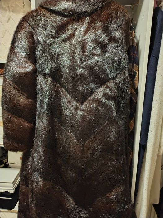 Blana de nutrie mahon