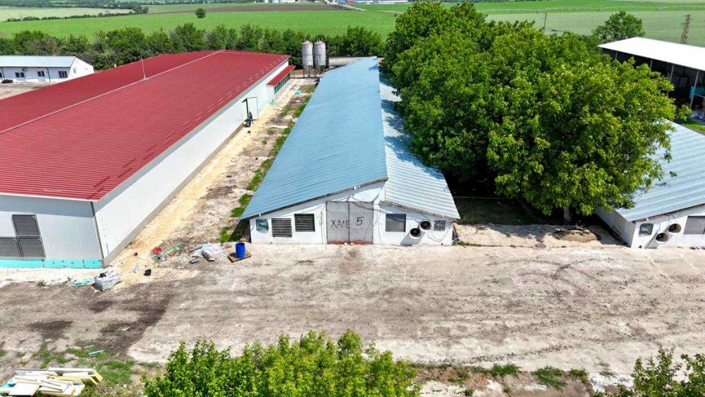 Действаща птицеферма за продажба в с. Борисово