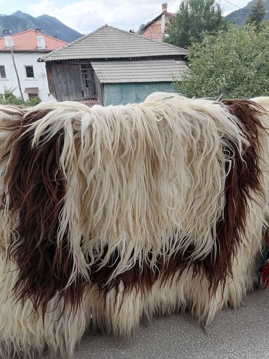 Продавам традиционни родопски халища
