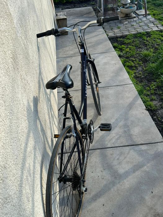 Bicicleta dama - Venice