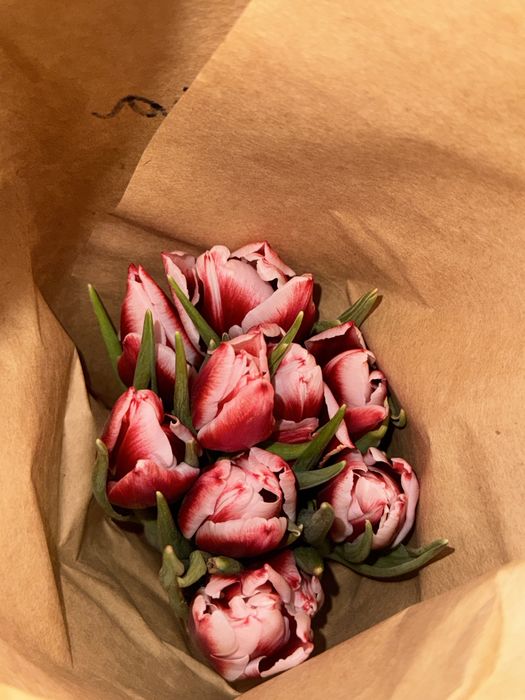 Продаем тюльпанчики к 14 февраля оптом