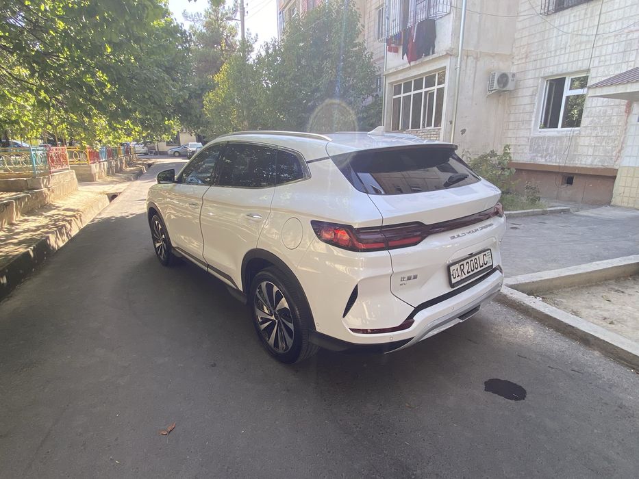 BYD chepiyon 2023