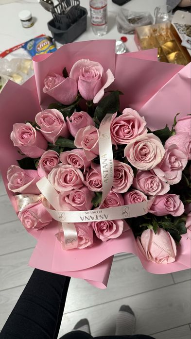 Цветы , роза ,новые