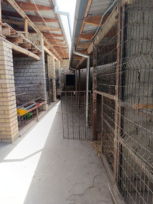 Срочно продаётся участок с домом