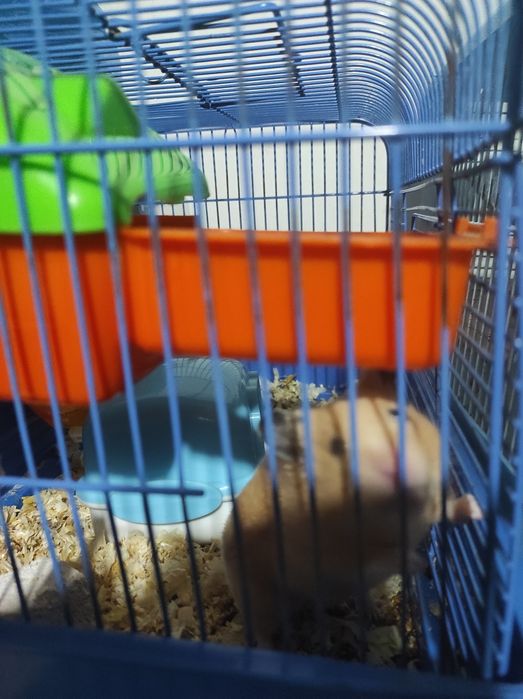 Продам клетку для хомяка.