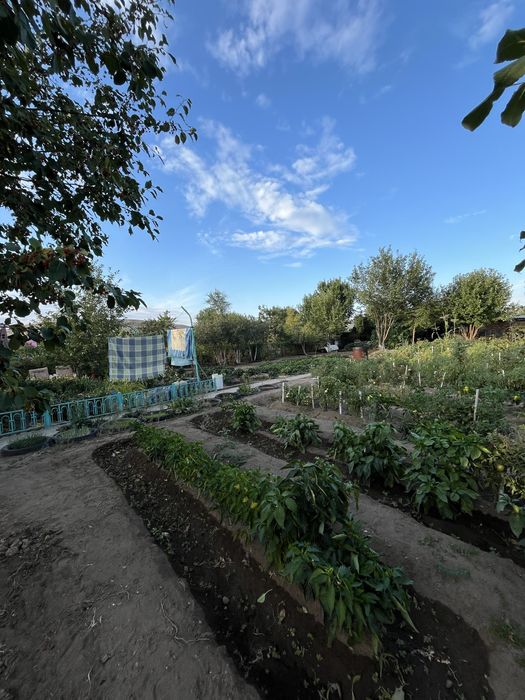 Продам дачу хорошую, медзавод