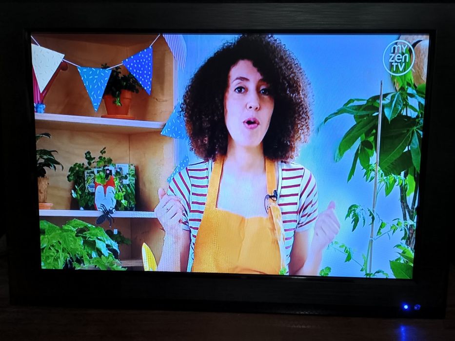 19"  led телевизор 220/12 V