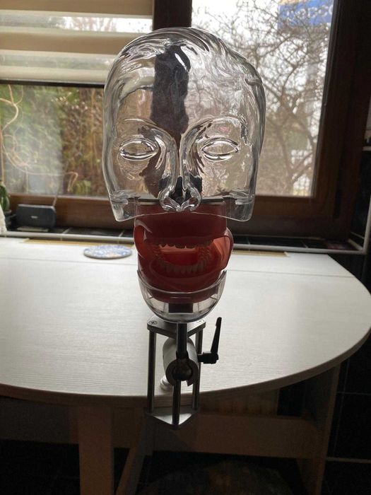 Phantom Head - Cap de manechin simulator dentar