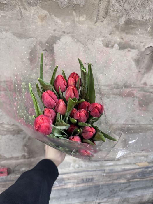 Тюльпаны рознаца недорого