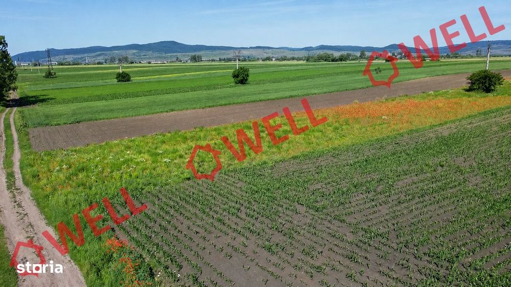 De vânzare teren intravilan în Baraolt, pe strada Baróti Szabó Dávid!