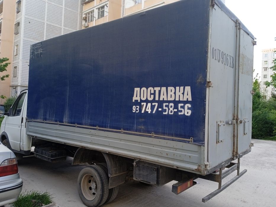 Gazel sotka sotiladi mator zver moy yemidi