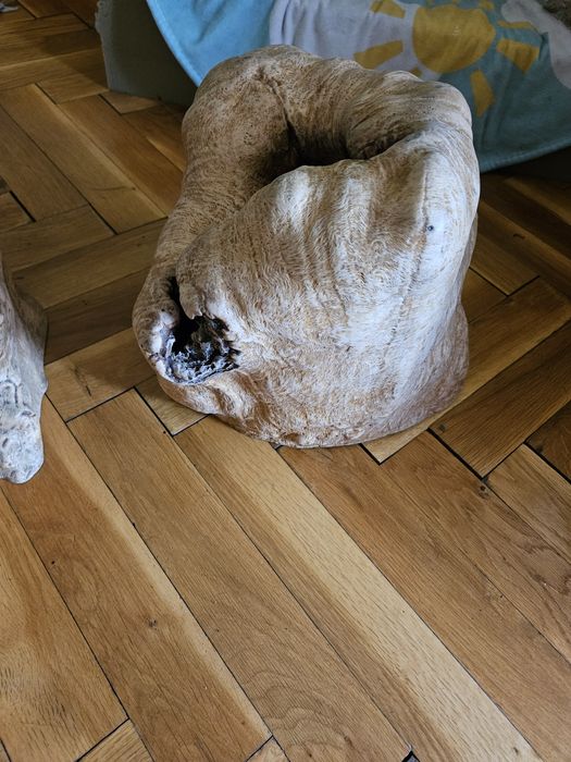 Декорация за дома и градината