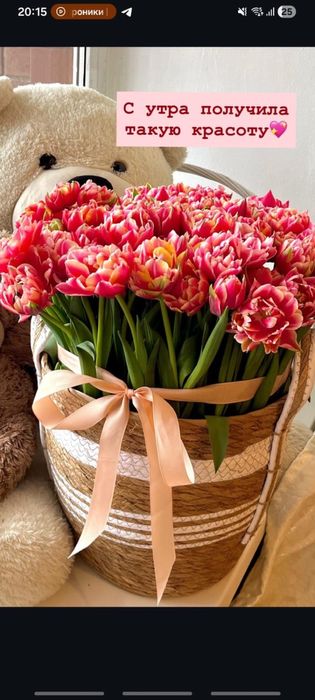 Тюльпаны за 300 тг