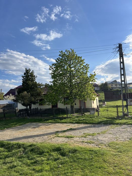Teren 4000 mp Buhalnita judetul Iasi