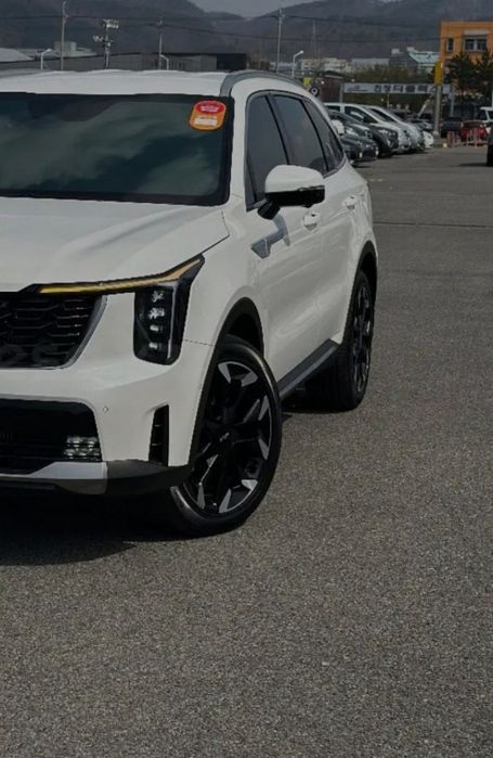 20 sarento arginal diska balon