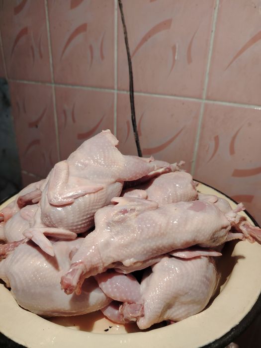Перепелиное мясо, бөдене еті, перепелиные тушки