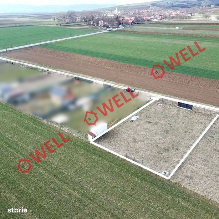 Teren intravilan de vânzare în Angheluș!