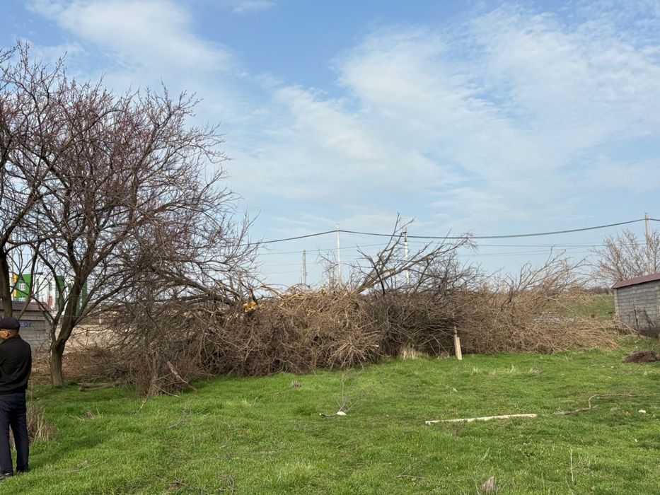 Тегін отын Бесплатные дрова