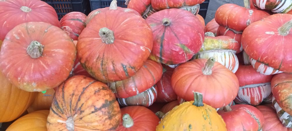 Dovleac Halloween și decorativ în Cluj