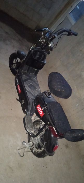 Суктердың жағдай жақсы