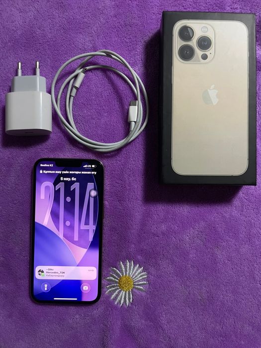 Айфон 13 про сатамын жана