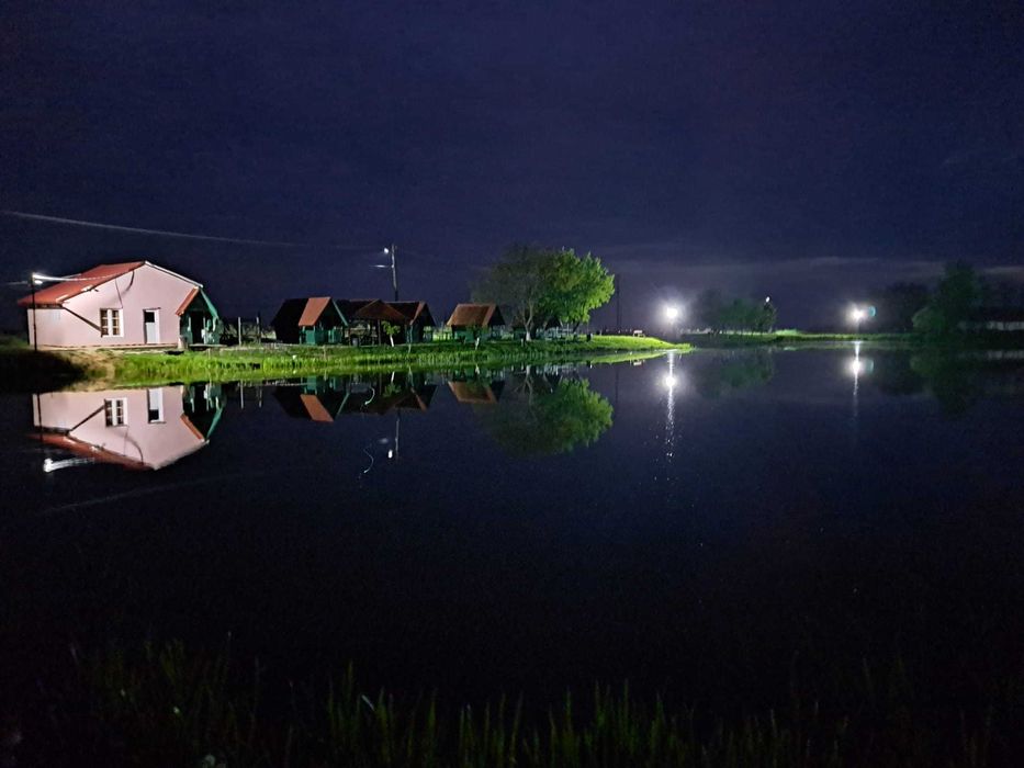 Vând baltă de pescuit în Boghiș, Satu Mare 2 Ha Intravilan front 185 m