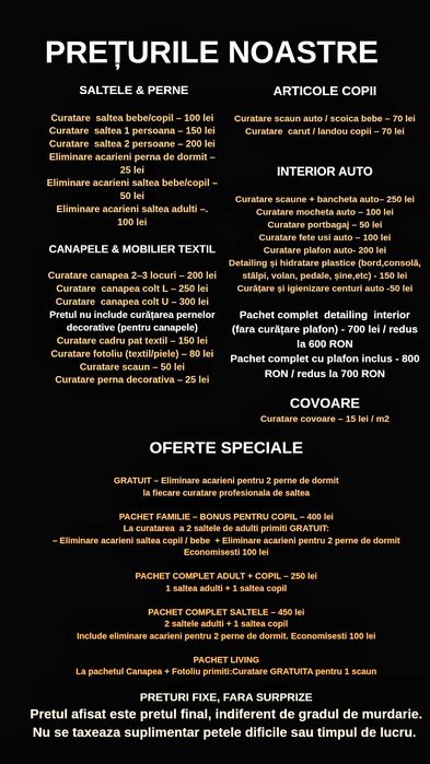 Curatare profesionala saltele, canapele, tapițerie auto și detailing interi