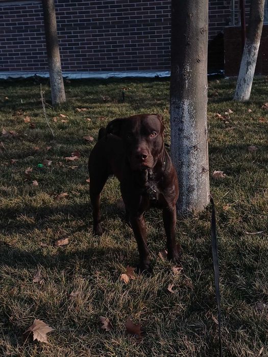 предлогаем кабеля для вязки (не продаётся)