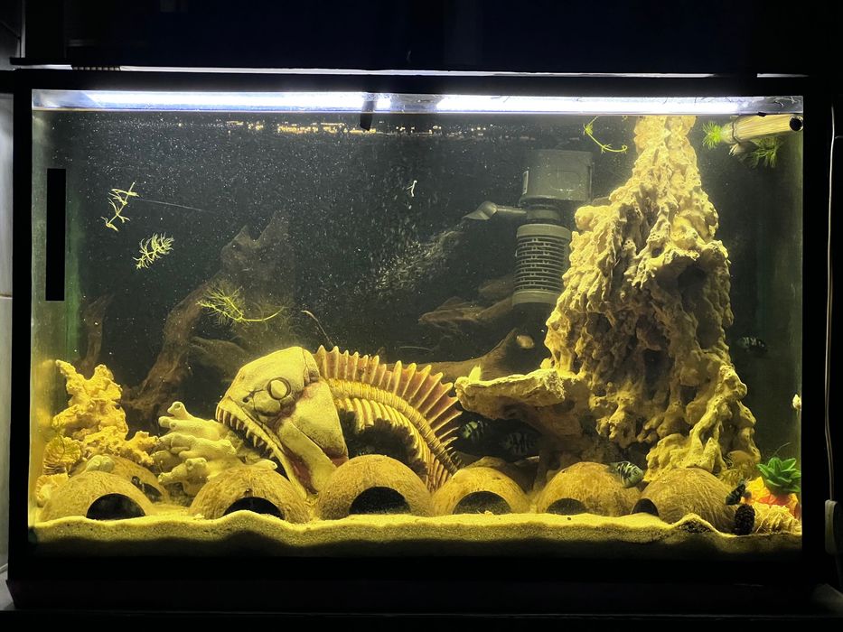 Продам аквариум 160л