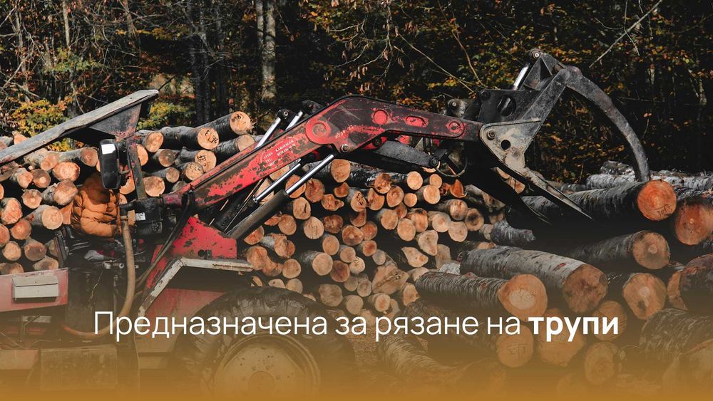 PREMIUM Лента за банциг за разкрояване на трупи - всякакъв размер