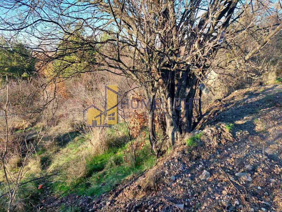 Продава се Парцел в с. Нови хан, Област София-област - 2209 кв.м за 20 €/кв.м - Снимка #5