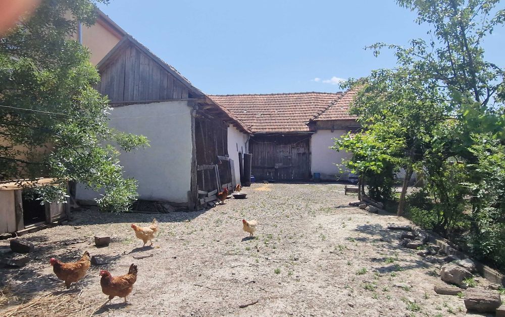 Casa de vânzare cu 4 camere în Bocsig, Arad + Gradina 1000mp cu 2 intrari